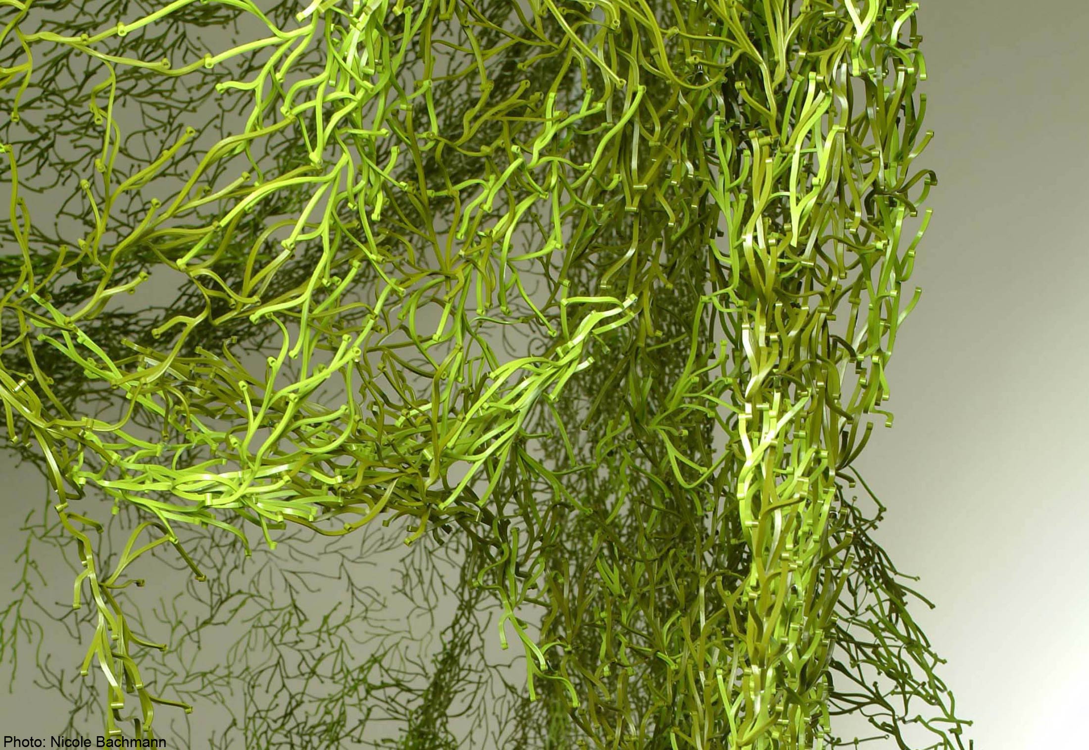 办公辅件|办公文具|办公火狐官方网站|火狐HUOHU（中国）火狐官方网站|海草办公饰品